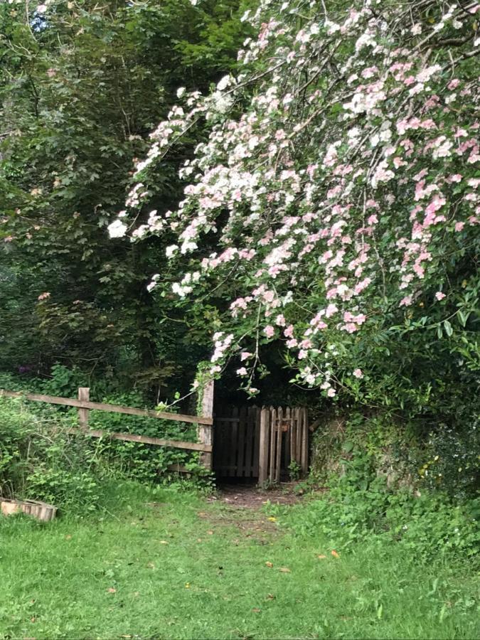Oak Lodge Tavistock  Bagian luar foto