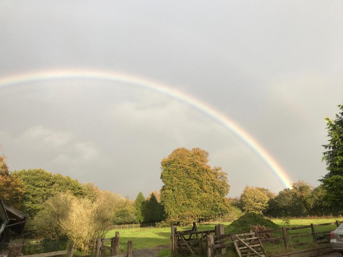 Oak Lodge Tavistock  Bagian luar foto