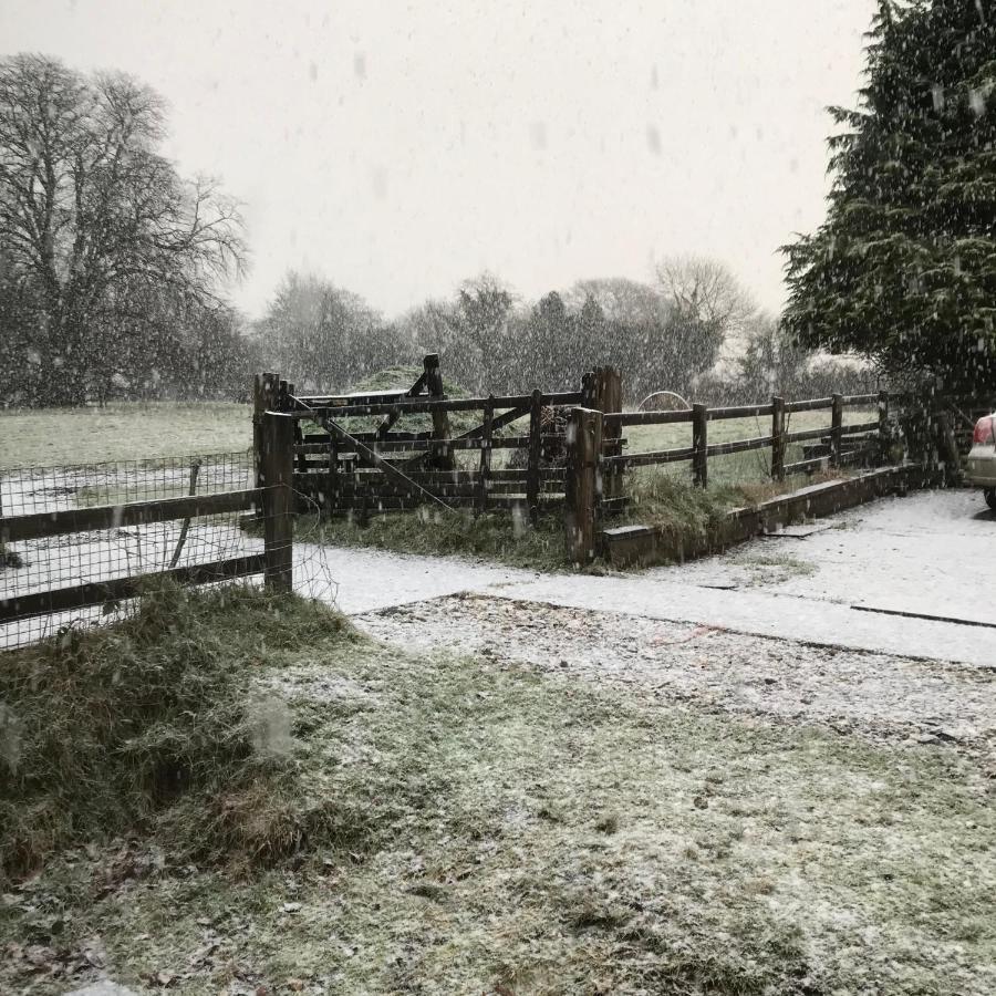 Oak Lodge Tavistock  Bagian luar foto