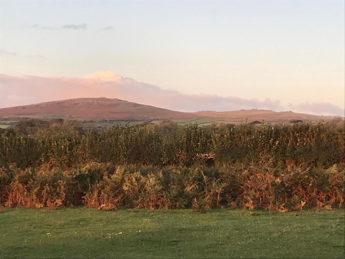 Oak Lodge Tavistock  Bagian luar foto