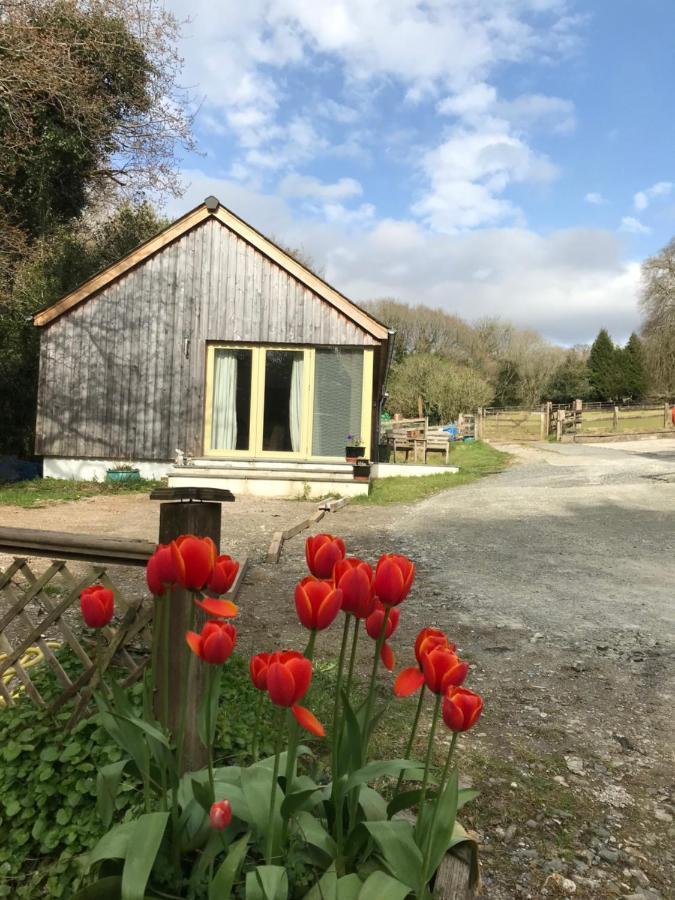 Oak Lodge Tavistock  Bagian luar foto